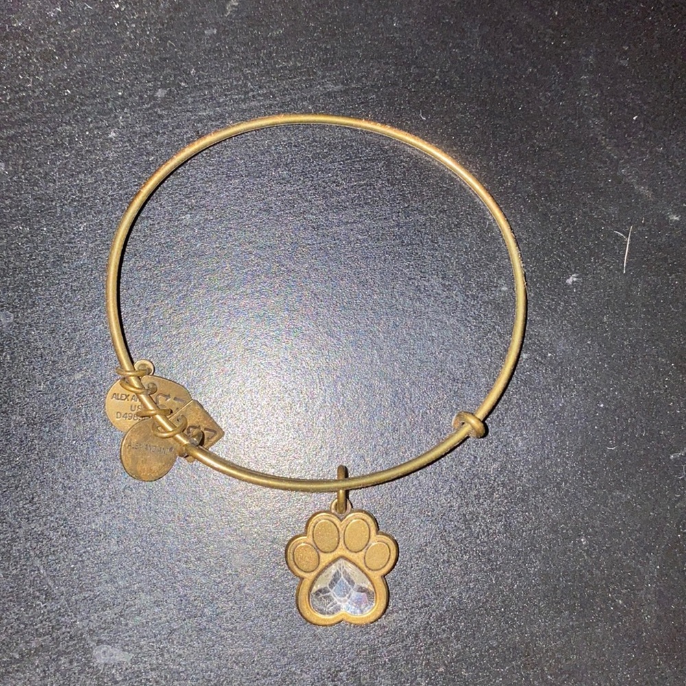 Alex & Ani paw print w jewel inside